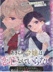 猫町奇谭 h电影 动漫封面